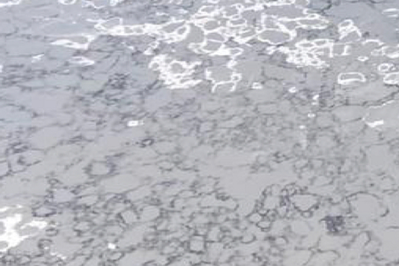 Dolphin Quartz Stone