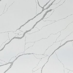 AC3000 Venus Line$2700