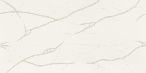 Calacatta Blanco